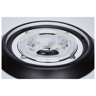 LED Disk Light in Bronze