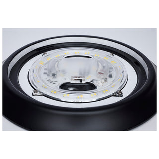LED Disk Light in Black