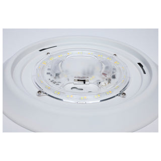 LED Disk Light in White