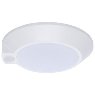 LED Disk Light in White