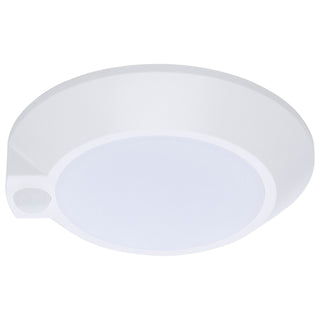 LED Disk Light in White