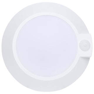 LED Disk Light in White