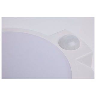LED Disk Light in White