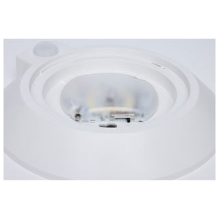 LED Disk Light in White