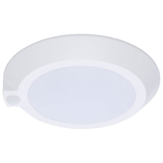 LED Disk Light in White