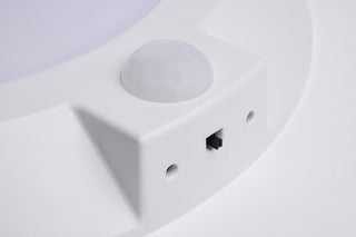 LED Disk Light in White