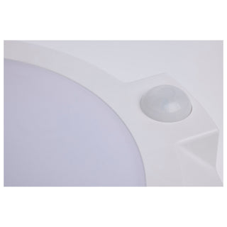 LED Disk Light in White
