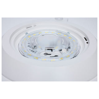 LED Disk Light in White