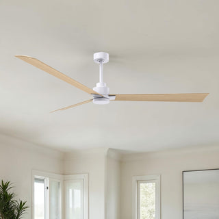 Alessandra 72" Ceiling Fan in Matte White