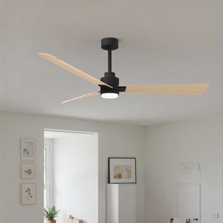 Alessandra - LK 56" Ceiling Fan in Matte Black
