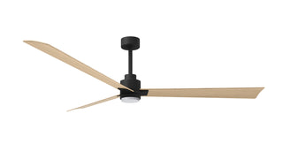 Alessandra - LK 72" Ceiling Fan in Matte Black