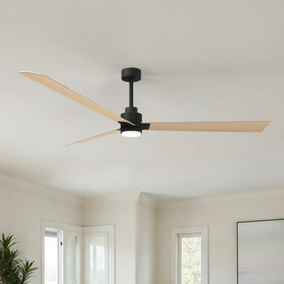 Alessandra - LK 72" Ceiling Fan in Matte Black