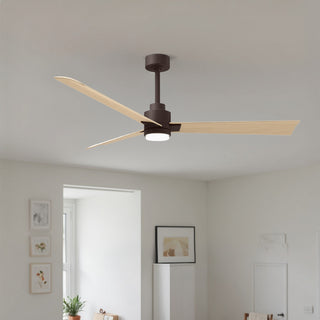 Alessandra - LK 56" Ceiling Fan in Textured Bronze