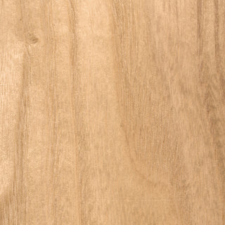 Patricia-5 60" Ceiling Fan in Gloss White