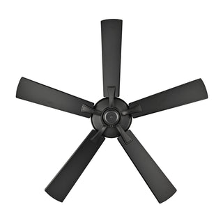 Brisden 52" Ceiling Fan in Matte Black