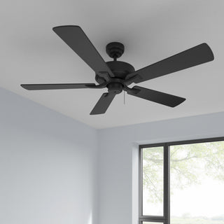 Brisden 52" Ceiling Fan in Matte Black