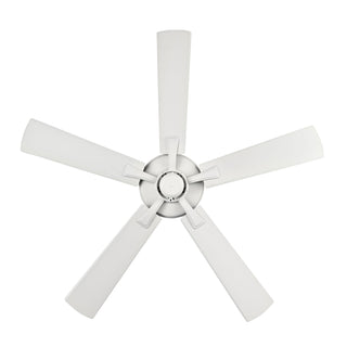 Brisden 52" Ceiling Fan in Matte White
