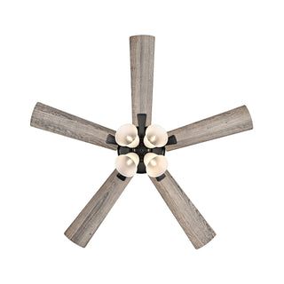 Calivane 52" Ceiling Fan in Matte Black