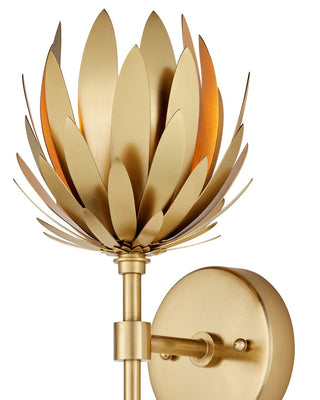 Protea One Light Wall Sconce in Brass