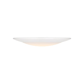 LED Disc Light in White