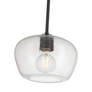 Pomari One Light Pendant in Matte Black