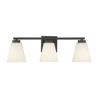 Strayhan Three Light Vanity in Matte Black