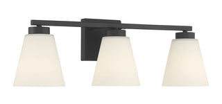 Strayhan Three Light Vanity in Matte Black
