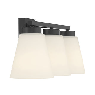 Strayhan Three Light Vanity in Matte Black
