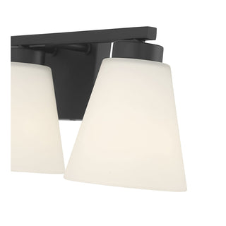 Strayhan Three Light Vanity in Matte Black
