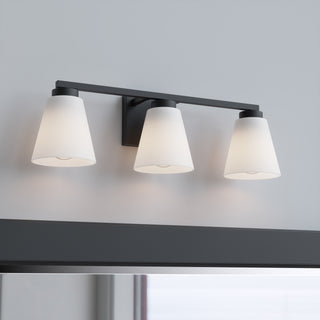 Strayhan Three Light Vanity in Matte Black