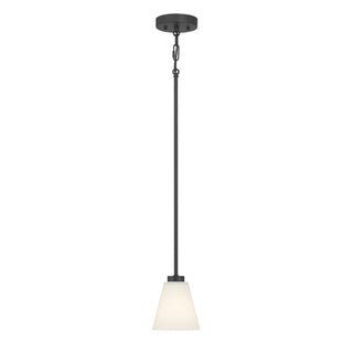 Strayhan One Light Mini Pendant in Matte Black