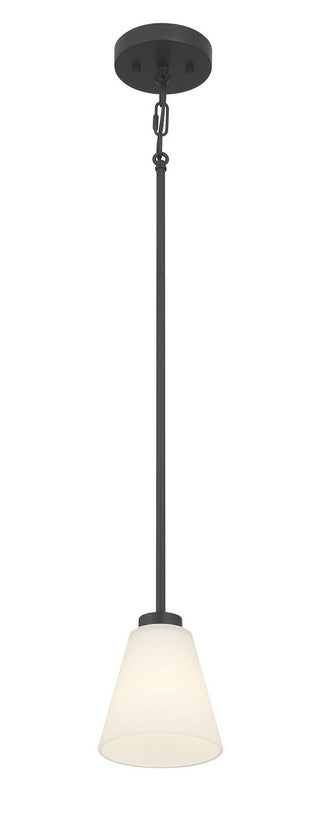 Strayhan One Light Mini Pendant in Matte Black