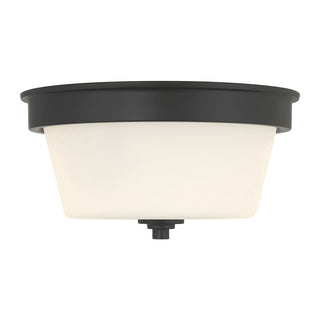 Strayhan Two Light Flush Mount in Matte Black