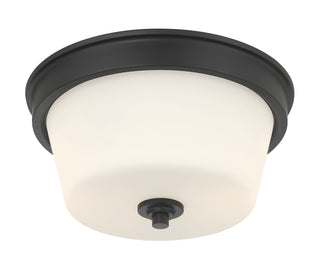 Strayhan Two Light Flush Mount in Matte Black