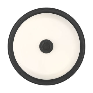 Strayhan Two Light Flush Mount in Matte Black