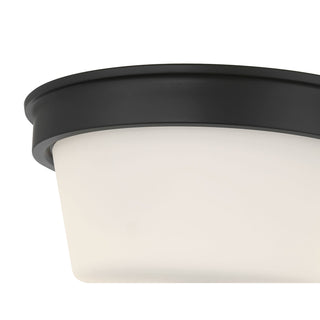 Strayhan Two Light Flush Mount in Matte Black