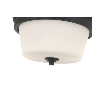 Strayhan Two Light Flush Mount in Matte Black