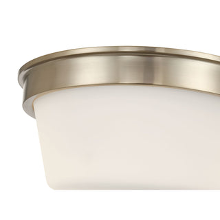 Strayhan Two Light Flush Mount in Modern Gold