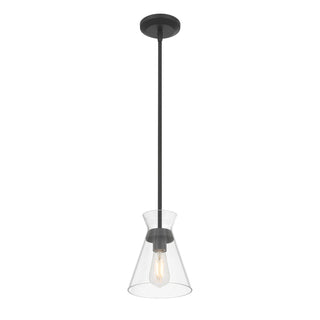 Amarella One Light Mini Pendant in Matte Black
