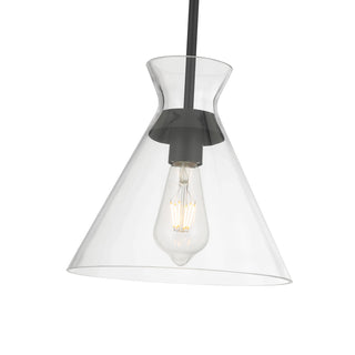 Amarella One Light Pendant in Matte Black