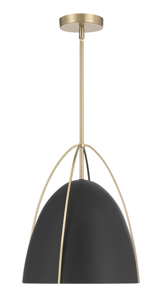 Pomelle One Light Pendant in Matte Black