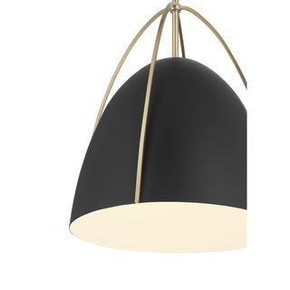 Pomelle One Light Pendant in Matte Black