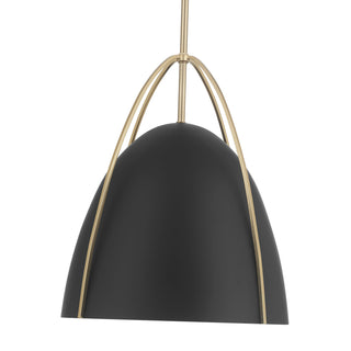 Pomelle One Light Pendant in Matte Black