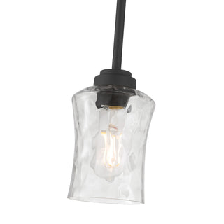 Clarvyn One Light Mini Pendant in Matte Black