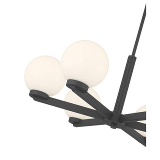 Ardeva Six Light Chandelier in Matte Black