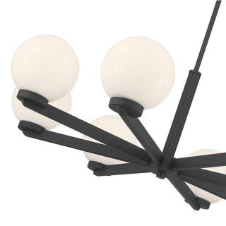 Ardeva Eight Light Chandelier in Matte Black