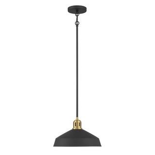 Axlen One Light Pendant in Matte Black