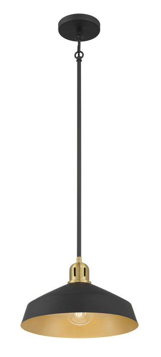 Axlen One Light Pendant in Matte Black