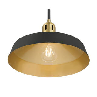 Axlen One Light Pendant in Matte Black