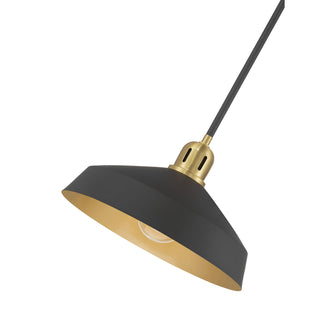 Axlen One Light Pendant in Matte Black